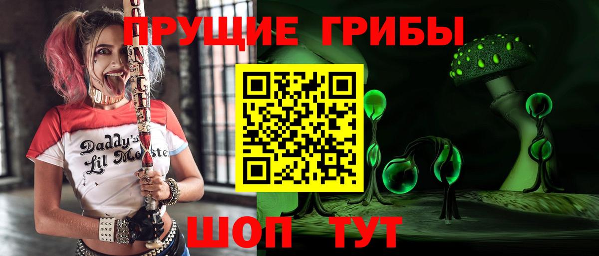Рыбинск  Галлюциногенные грибы прущие грибы  Вход с VPN  Псилоцибиновые грибы Psilocybe 